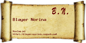 Blayer Norina névjegykártya